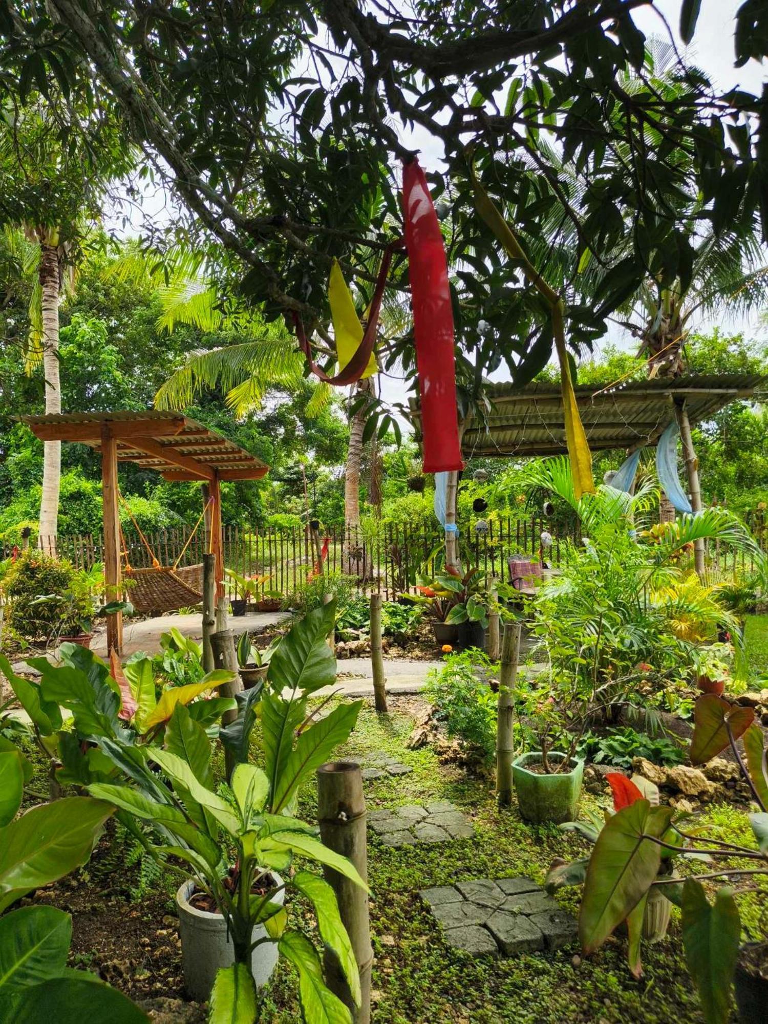 Lagkaw Uno In Lagkaw Homestay Panglao Exterior photo
